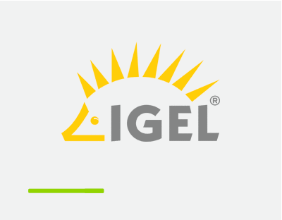 The partnership between Virtual Cable and IGEL allows the use of any device from this manufacturer, as well as its VDI-focused operating system, to securely access remote desktop services with UDS Enterprise.