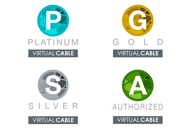 Partners types: Platinum, Gold, Silver y Authorized | Virtual Cable